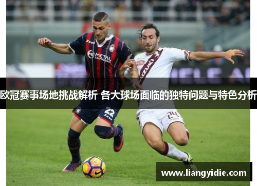 欧冠赛事场地挑战解析 各大球场面临的独特问题与特色分析