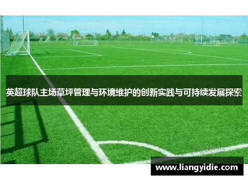 英超球队主场草坪管理与环境维护的创新实践与可持续发展探索