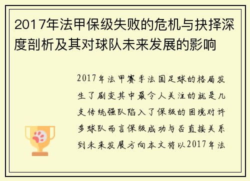 2017年法甲保级失败的危机与抉择深度剖析及其对球队未来发展的影响
