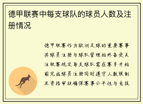 德甲联赛中每支球队的球员人数及注册情况